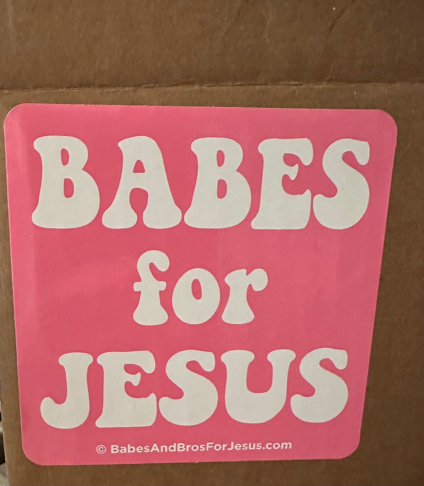 Babes for Jesus bumper sticker